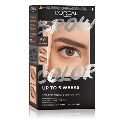 L´Oréal Paris Brow Color Semi-Permanent Eyebrow Tint semi-permanente kleuring voor Wenkbrauwen 5.0 Brunette