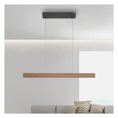 E-Motion LED hanglamp, eiken/zwart parelmoer, CCT - PURE PURE E-Motion - Woonkamer - Modern - Metaal - 1 lamp