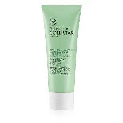 Collistar Attivi Puri Salicylic Acid + Zinc Clay Mask masque à l'argile à l'acide hyaluronique 75 ml