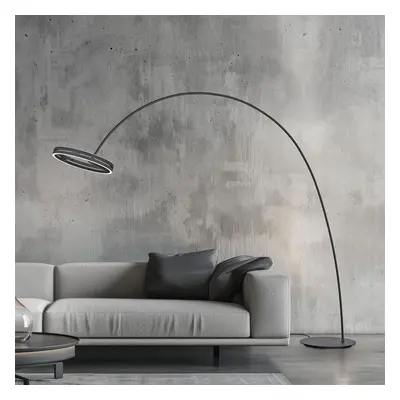 Loop-Bow LED vloerlamp, zwart, reikwijdte 290 cm, CCT - PURE - Woonkamer - Modern - Metaal - 1 lamp