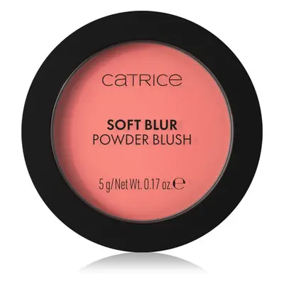 Catrice Soft Blur Powder Brush blush poudre effet mat teinte 040 Pink Positive 5 g