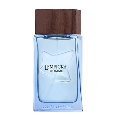 Lolita Lempicka Homme Eau de Toilette voor mannen 100 ml