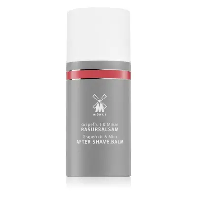 Mühle Aftershave Balm baume après-rasage pour homme 100 ml