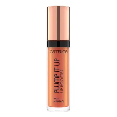 Catrice Plump It Up brillant à lèvres volumisant teinte 070 · Fake It Till You Make It 3,5 ml