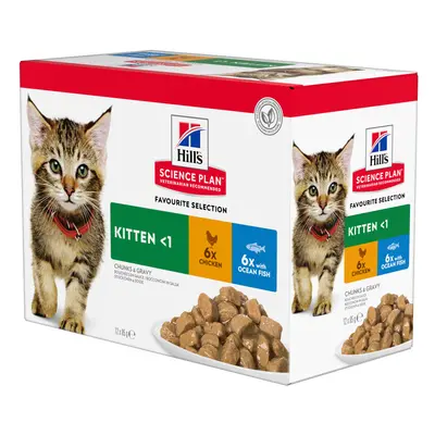 12x85g Kitten Vis selectie Hill's Science Plan Kattenvoer