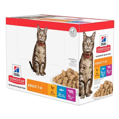 Hill's Feline Adult Maaltijdzakjes Kattenvoer - 48 x 85 g Vis selectie