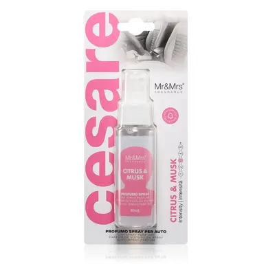 Mr & Mrs Fragrance Cesare Citrus & Musk désodorisant pour la voiture 50 ml