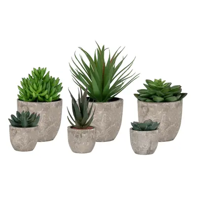 Bloemen House Nordic Spello (x150)