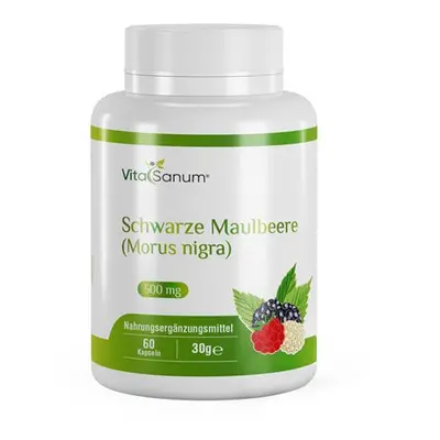 VitaSanum®- Zwarte Moerbei (Morus nigra) 60 Capsules
