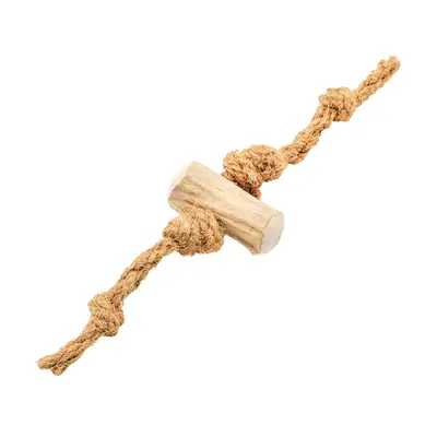 Mascota casa - Coco & Koffie hond 1