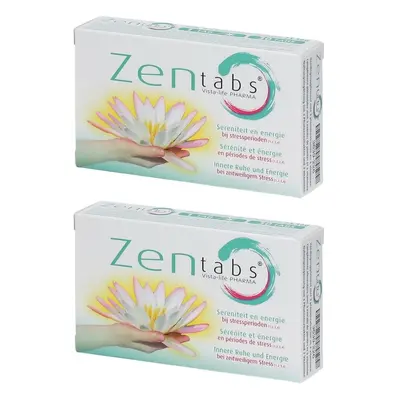 Vista Zentabs | 1+1 GRATIS 2x30 Tabletten