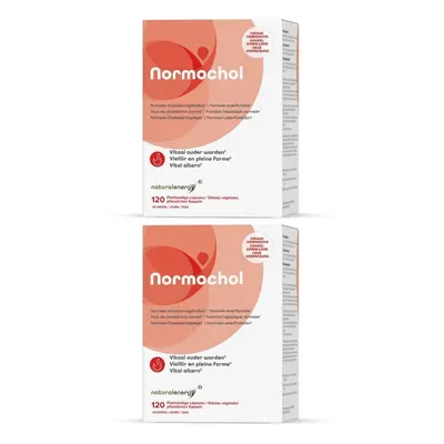 Natural Energy Normochol | Cholesterolgehalte 2x120 Capsules